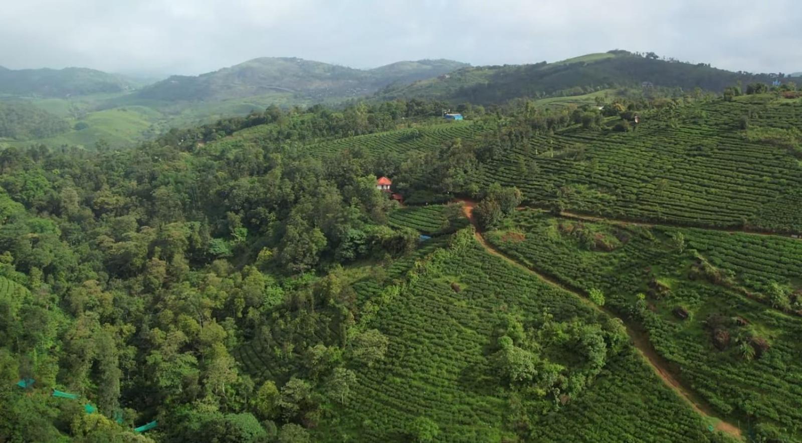 Tea Haven By Yathroam Guest House Vagamon Luaran gambar
